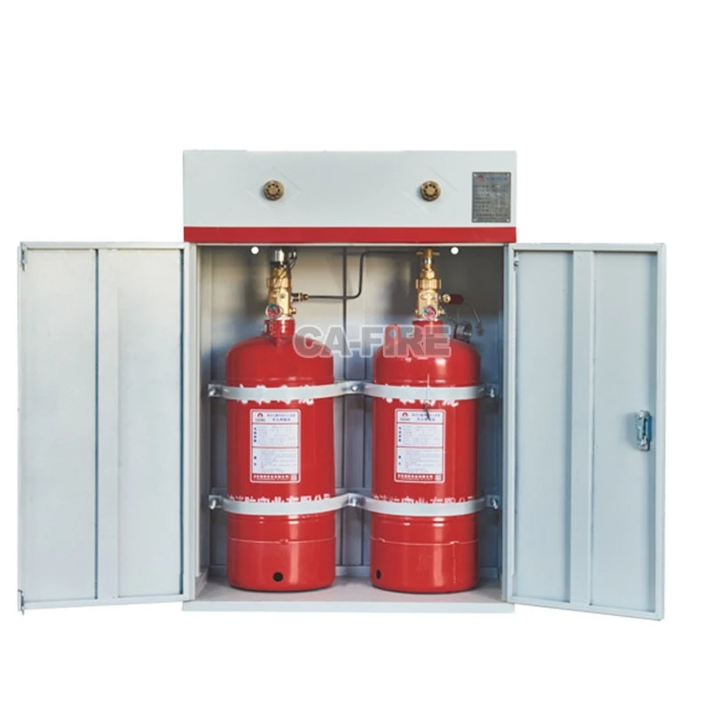 FM200 Fire Suppression System