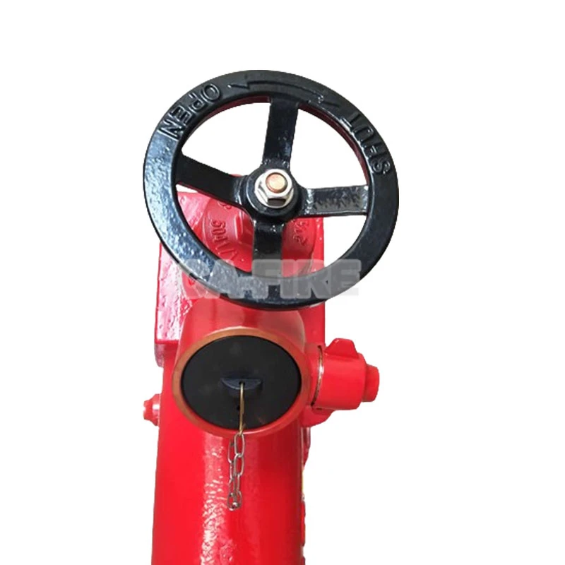 product-800-800
