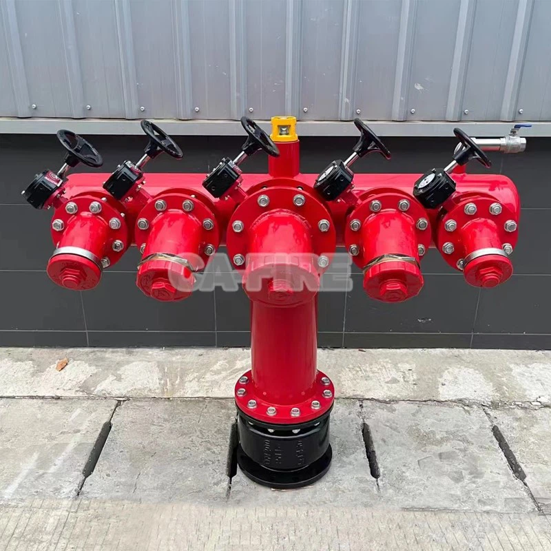 product-800-800